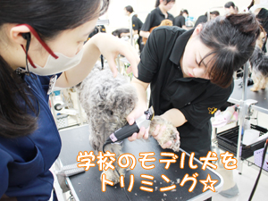 ☆１年生のトリミング☆